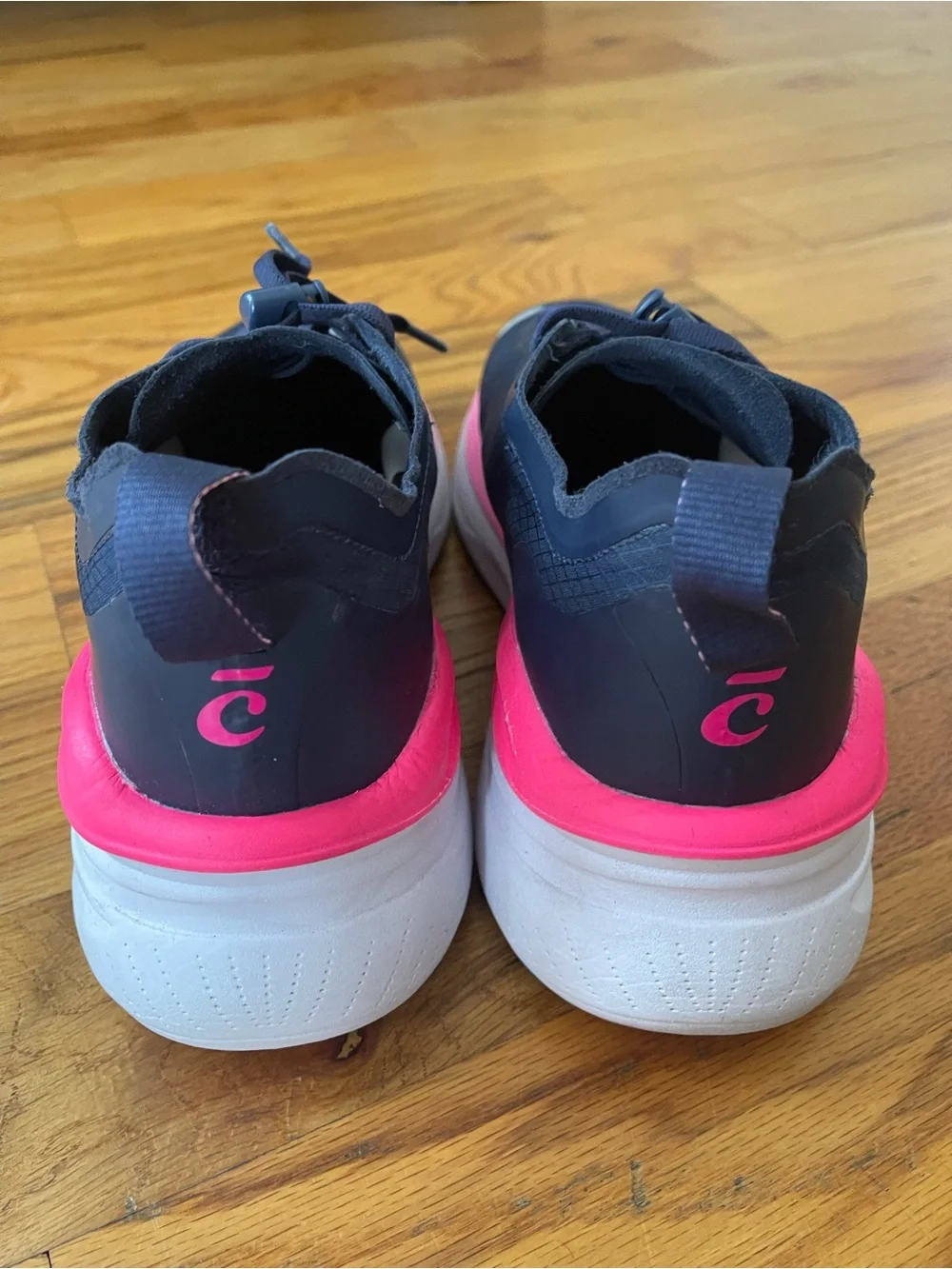 Clove Navy Blue and Hot Pink Shoes